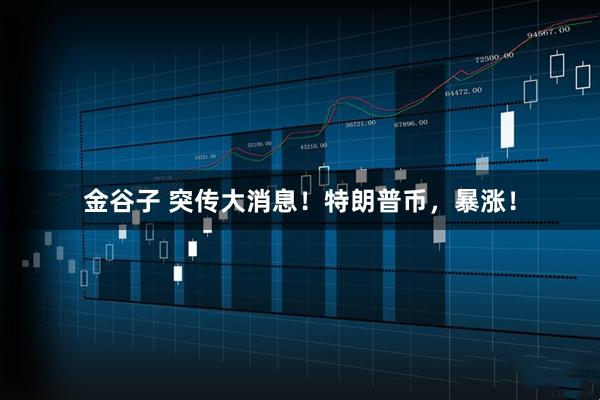 金谷子 突传大消息！特朗普币，暴涨！