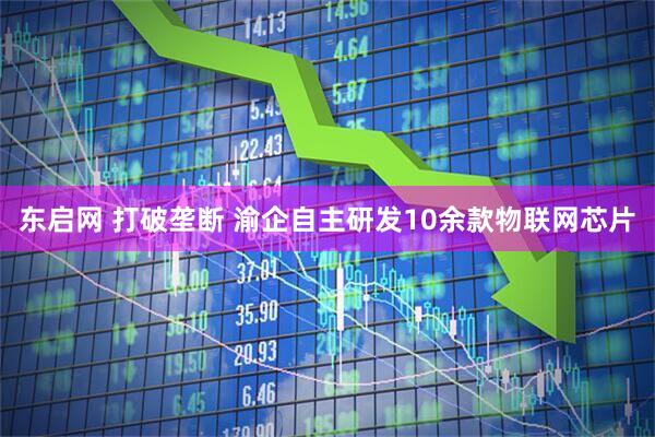 东启网 打破垄断 渝企自主研发10余款物联网芯片