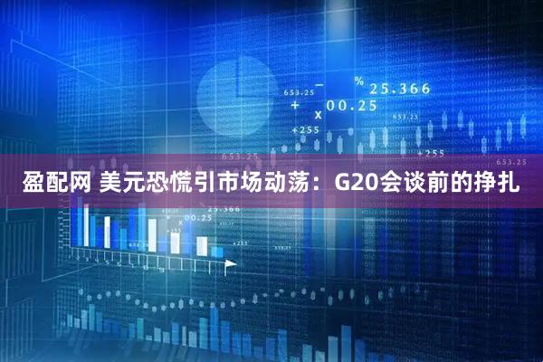 盈配网 美元恐慌引市场动荡：G20会谈前的挣扎