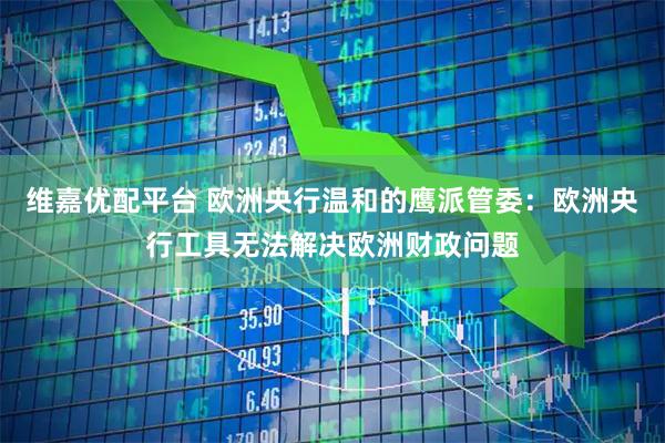 维嘉优配平台 欧洲央行温和的鹰派管委：欧洲央行工具无法解决欧洲财政问题