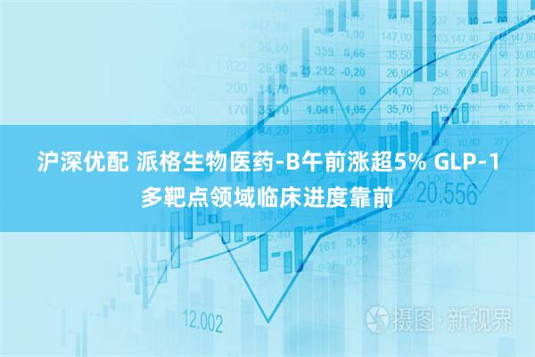 沪深优配 派格生物医药-B午前涨超5% GLP-1多靶点领域临床进度靠前