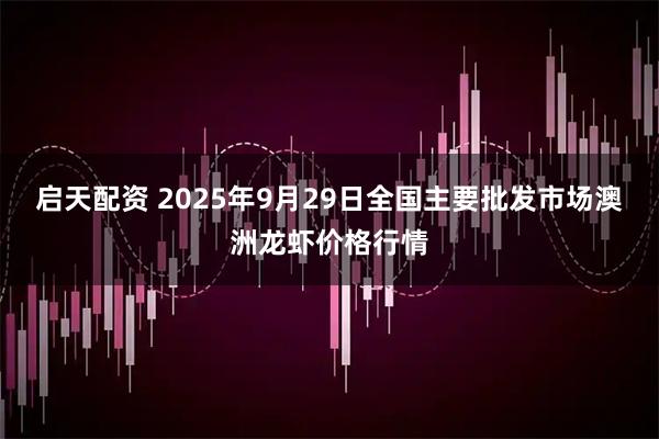 启天配资 2025年9月29日全国主要批发市场澳洲龙虾价格行情