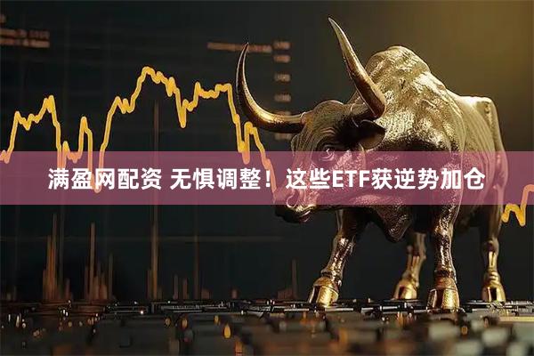 满盈网配资 无惧调整！这些ETF获逆势加仓