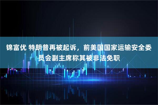 锦富优 特朗普再被起诉，前美国国家运输安全委员会副主席称其被非法免职