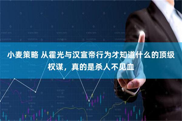 小麦策略 从霍光与汉宣帝行为才知道什么的顶级权谋，真的是杀人不见血