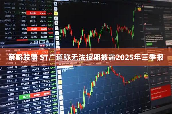 策略联盟 ST广道称无法按期披露2025年三季报